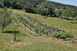 U poseti jedinstvenim Pheno Geno ruzama, Mala Rosa Slovenija