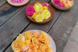 Rose ‘Jordi Roca’™ is our new Edible rose! 
