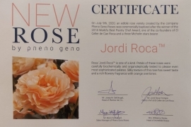 Ruža 'Jordi Roca'™ naša je nova jestiva ruža!