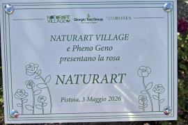 Naturart