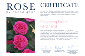 KRŠTENJE NOVE RUŽE NA JUBILEJU 150 god. Praskac Pflanzenland