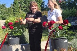 A New Rose Named FOLKLORIKA