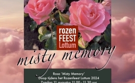 Baptism of our new rose Misty Memory!