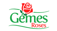 Gemes roses
