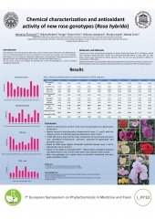 Chemical characterization and antioxidant activity of new rose genotypes