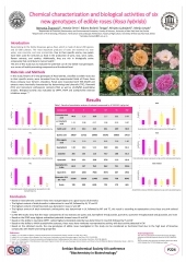 Characterization and biological activities in new edible rose genotypes
