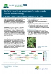 High Performance Roses: a new impulse for garden roses by  molecular marker technology
